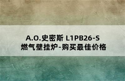 A.O.史密斯 L1PB26-S 燃气壁挂炉-购买最佳价格